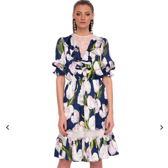 NEW Nissa Floral Print Dress - Picture 1 of 6